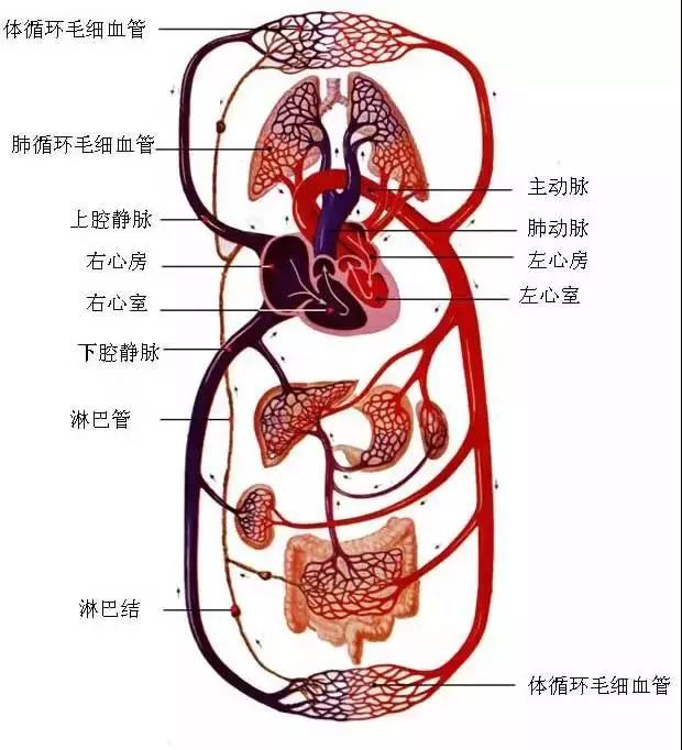 微信圖片_20210527085208.jpg